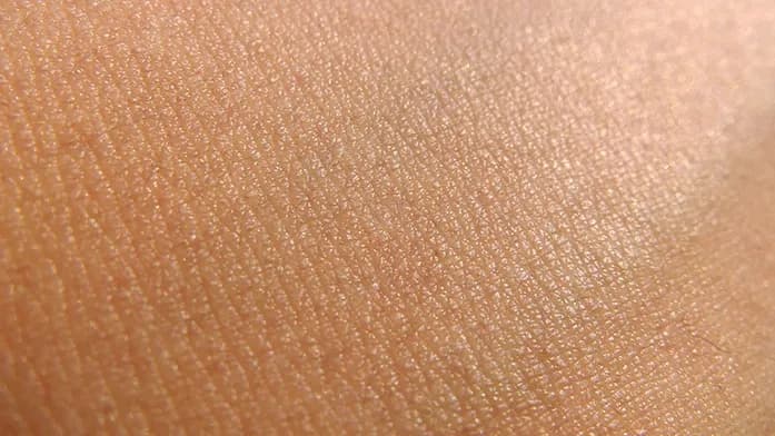 Assenza di segni visibili image